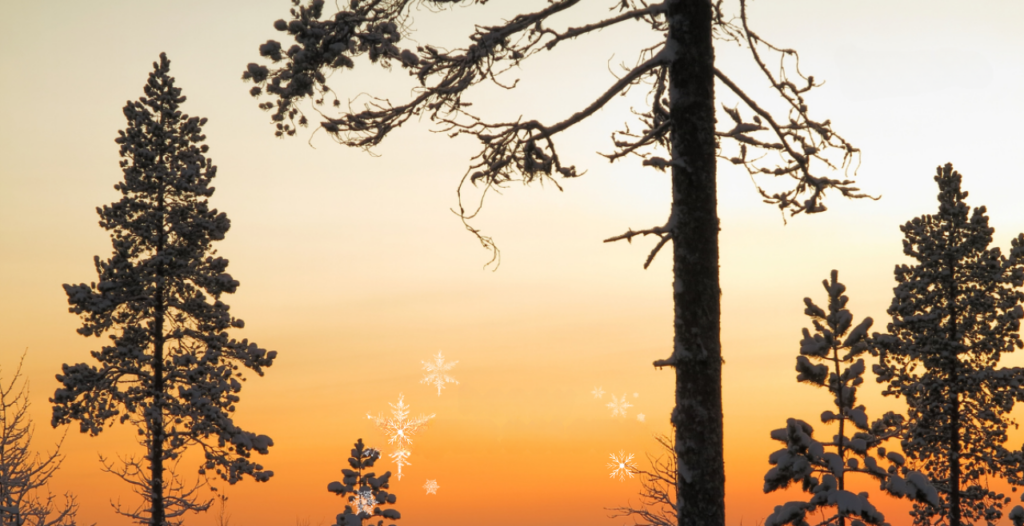 A serene winter scene at sunset featuring snow-covered trees and softly falling snowflakes, evoking a peaceful and inclusive holiday atmosphere.